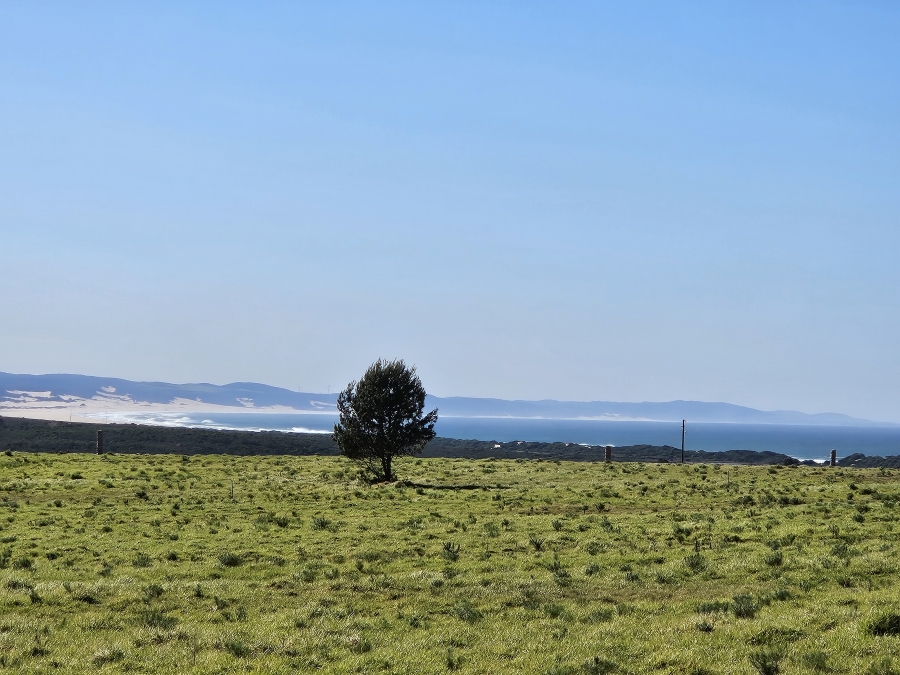 0 Bedroom Property for Sale in Twin Valley Eastern Cape